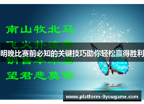 明晚比赛前必知的关键技巧助你轻松赢得胜利