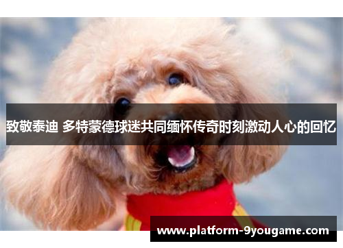 致敬泰迪 多特蒙德球迷共同缅怀传奇时刻激动人心的回忆