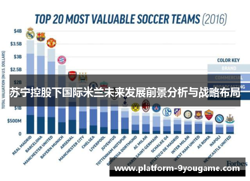 苏宁控股下国际米兰未来发展前景分析与战略布局